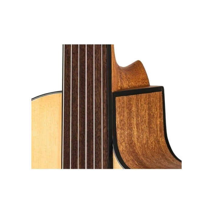 Valler VG250CPDS Perdesiz Klasik Gitar ( Pena ve Taşıma Kılıfı )