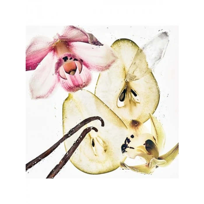 Vanilya ve Misk Akorlu Vücut Misti - 236 ml