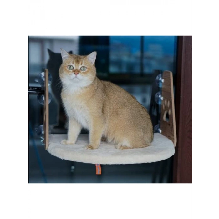 Vantuzlu Kedi Cam Yatağı - Krem