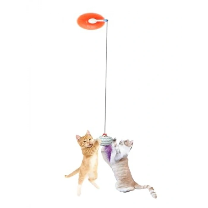Vantuzlu Kedi Oltası Oyuncağı