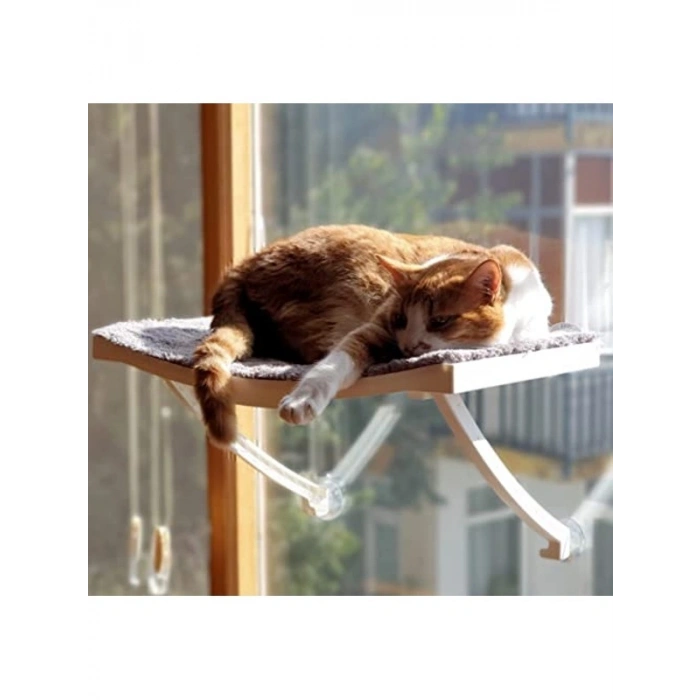 Vantuzlu Kedi Yatağı - Cam ve Duvar İçin Yeni Model
