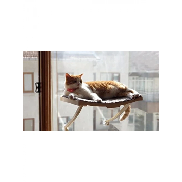 Vantuzlu Kedi Yatağı - Cam ve Duvar İçin Yeni Model