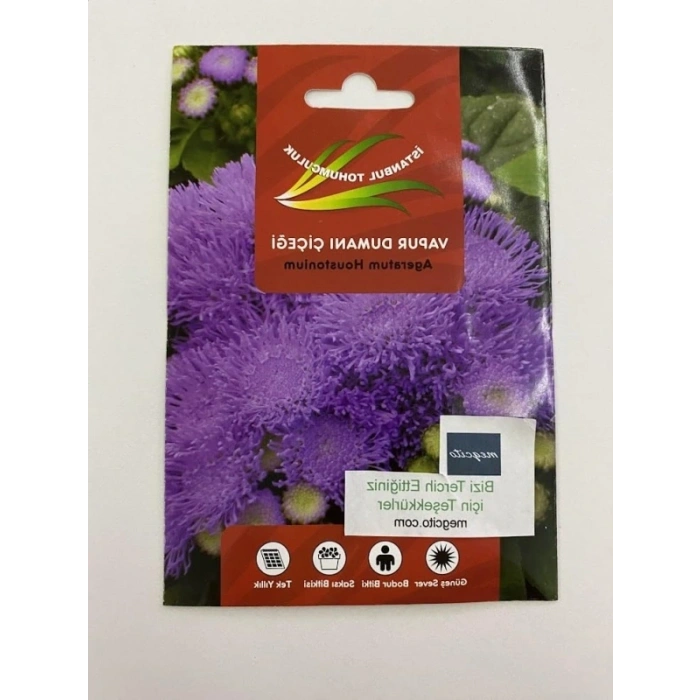 Vapur Dumanı Çiçeği - 150 Tohum (Karışık Renk)