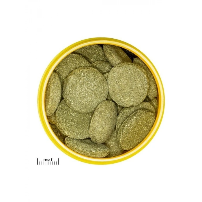 Vatozlar İçin Özel 500 Gram Tablet Yem, Pro Novo Pleco