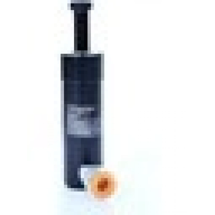 Worldforce 11272 2 Ton Strok-73 mm Hidrolik Piston Vidalı Hidrolik Silindir Kaporta Doğrultma Aleti