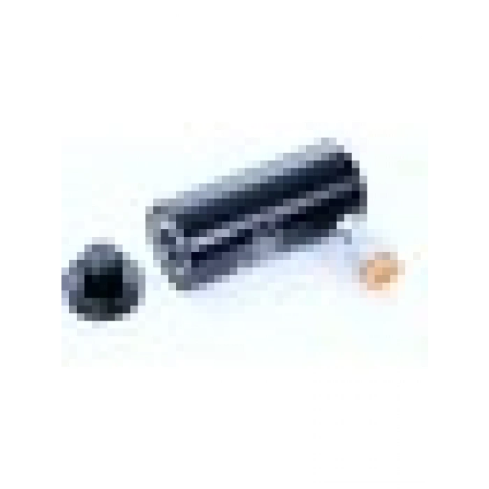 Worldforce 11273 10 Ton Strok-58 mm Hidrolik Piston Hidrolik Silindir Kaporta Doğrultma Aleti