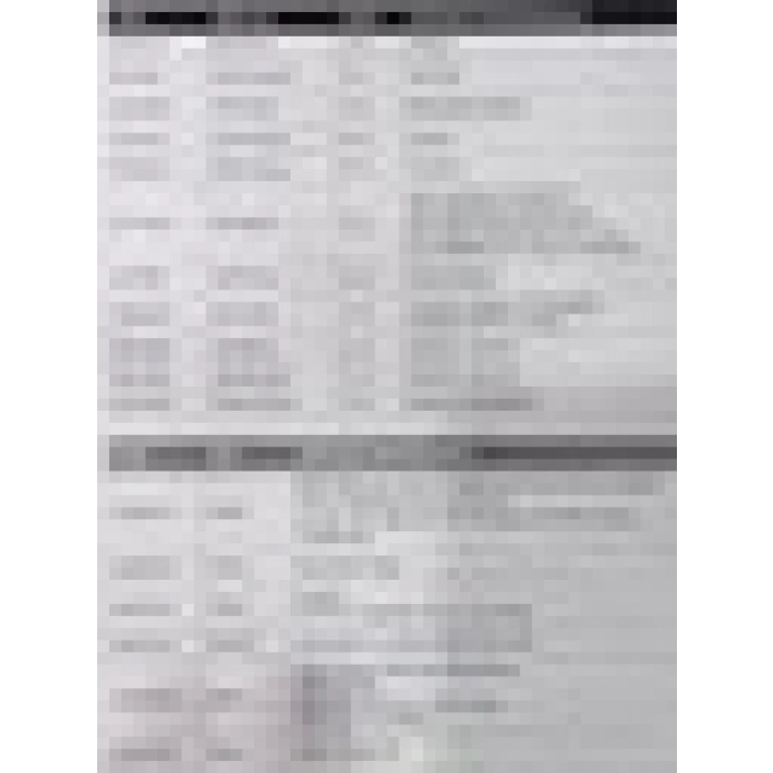 Worldforce 19 Parça Profesyonel Chrom Oto Yağ Filtre Anahtar Seti