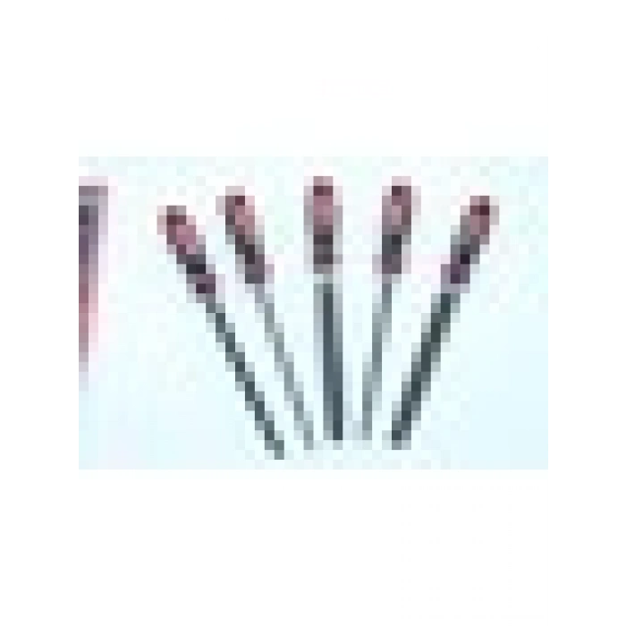 Worldforce 5li 320 mm Eğe Seti Profesyonel Set