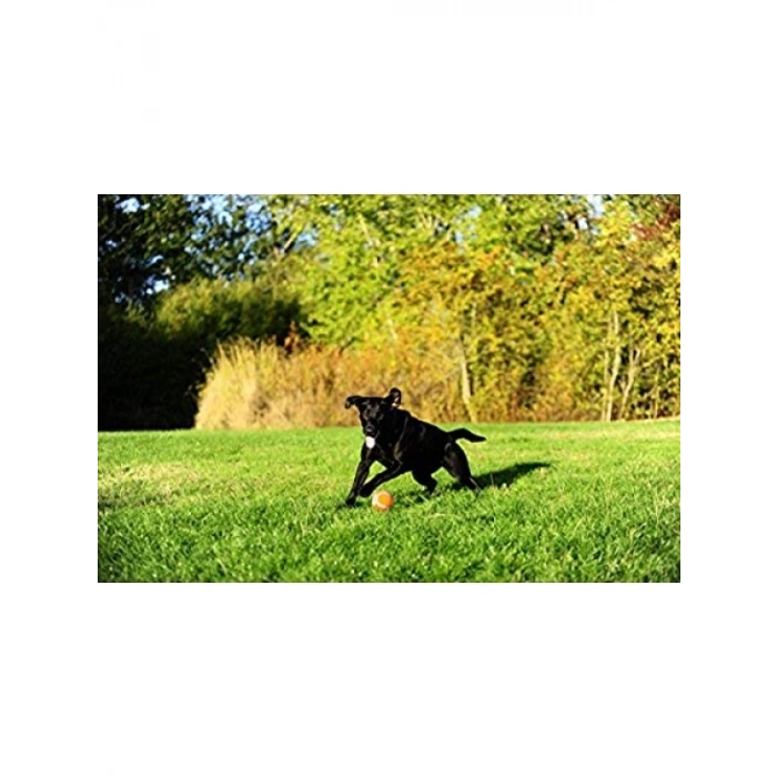 XL Boy 2li Köpek Tenis Oyun Topu