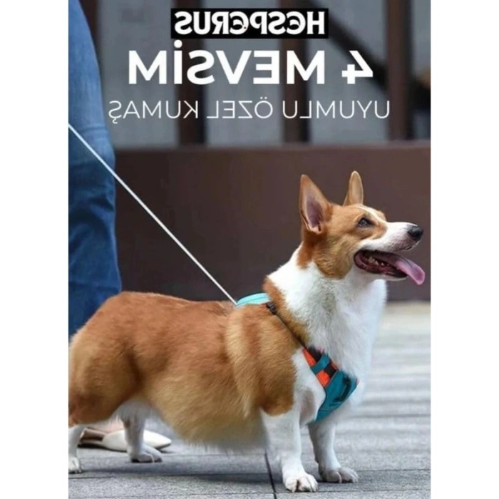 XL Boyutu Rahat Köpek Tasması | Şık ve Kullanışlı Tasarım