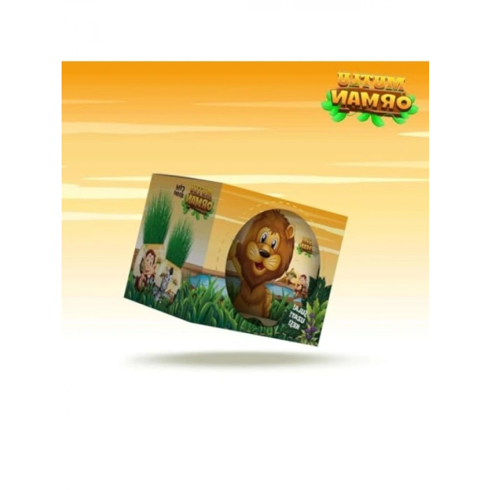 XL Çim Adam Seti - 6lı Eğitici Bitki Yetiştirme Kiti