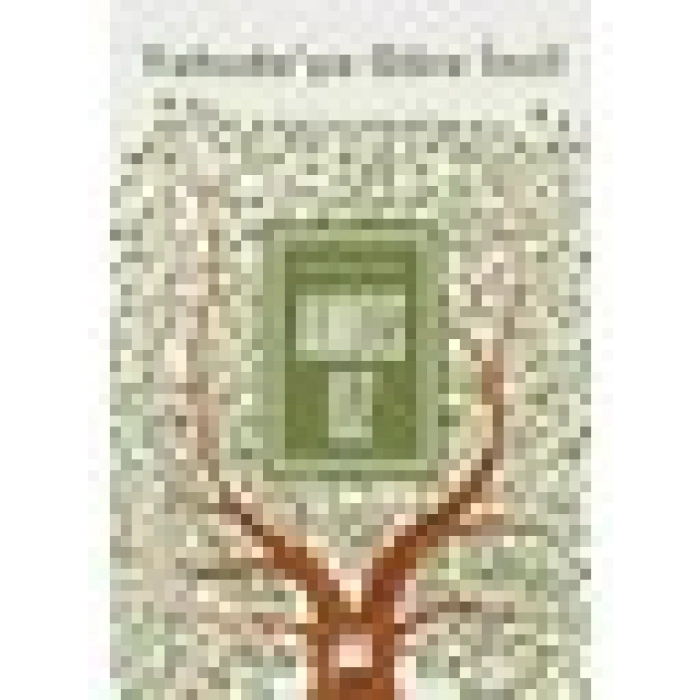 Yahudaya Göre İncil - Amos Oz