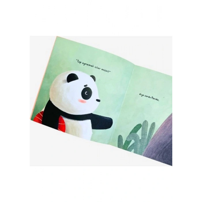 Yalnız Panda - Çağrı Odabaşı