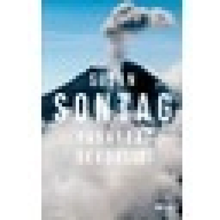 Yanardağ Sevdalısı - Susan Sontag