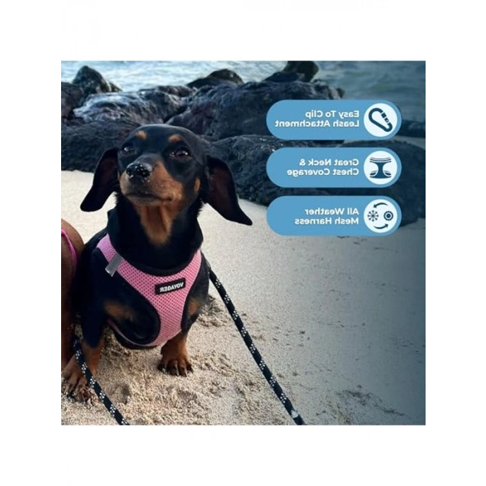 Yansıtıcı, Çekme Yapmayan Tasma, Küçük ve Orta Boy Köpekler İçin