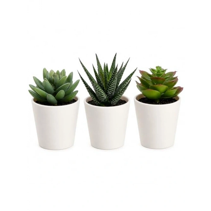 Yapay Saksı Bitkisi, İç ve Dış Mekan için 3lü Paket, Modern Tasarım