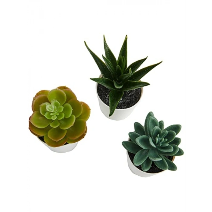 Yapay Saksı Bitkisi - İç ve Dış Mekan Kullanımı için