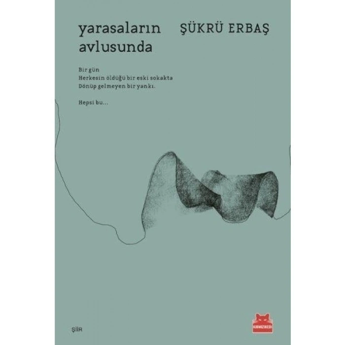 Yarasaların Avlusunda - Şükrü Erbaş