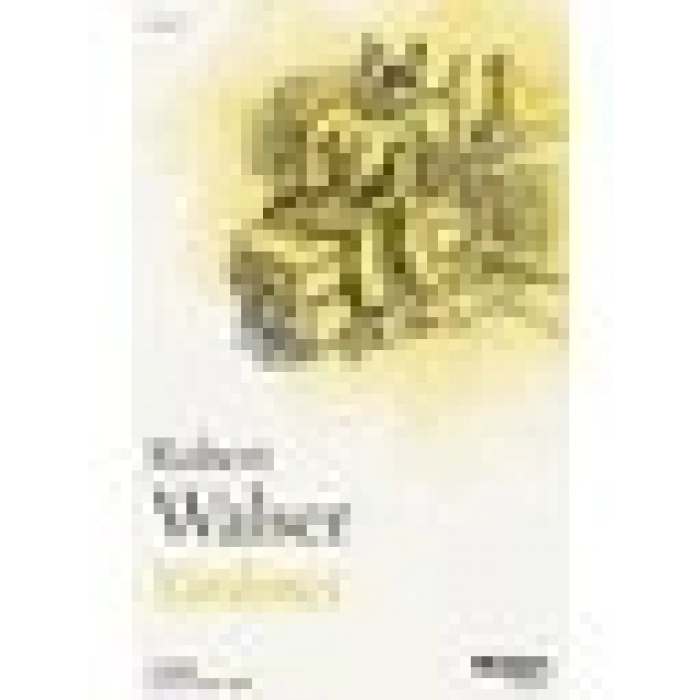 Yardımcı - Robert Walser