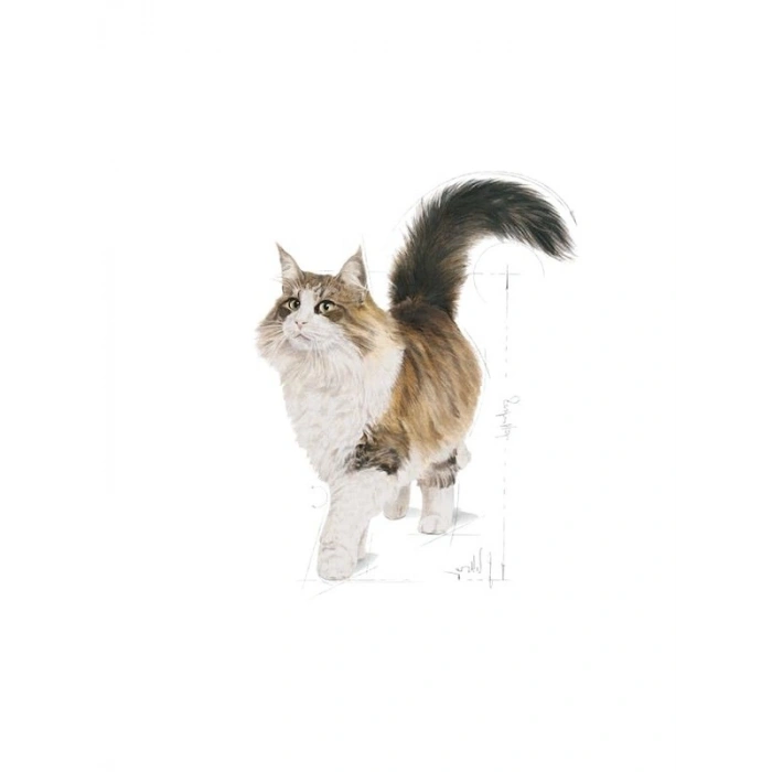 Yaş Kedi Maması, 85 Gr, 7+ Yaş İçin Özel