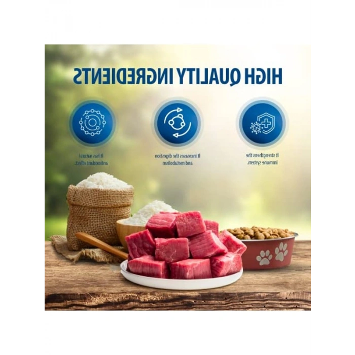 Yaşlı Köpek Maması, Orta Irk, 3 kg, Besleyici