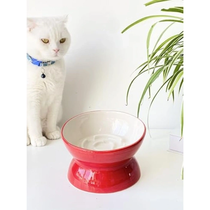 Yavaş Yeme Kedi Mama Kabı - Seramik, Kırmızı Renk