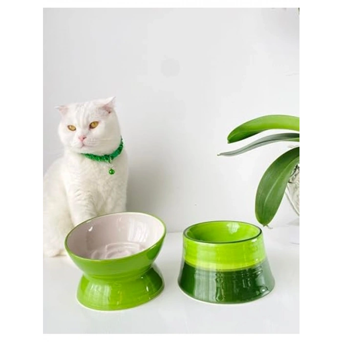 Yavaş Yeme Mama Kabı, Seramik, 2li Set, YEŞİL BEYAZ