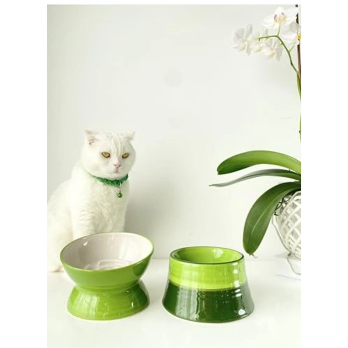 Yavaş Yeme Mama Kabı, Seramik, 2li Set, YEŞİL BEYAZ