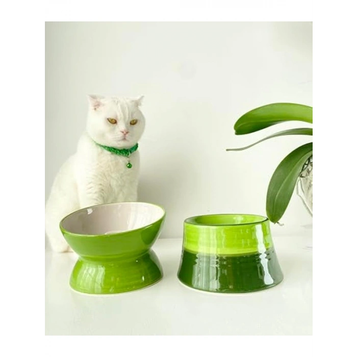 Yavaş Yeme Mama Kabı, Seramik, 2li Set, YEŞİL BEYAZ