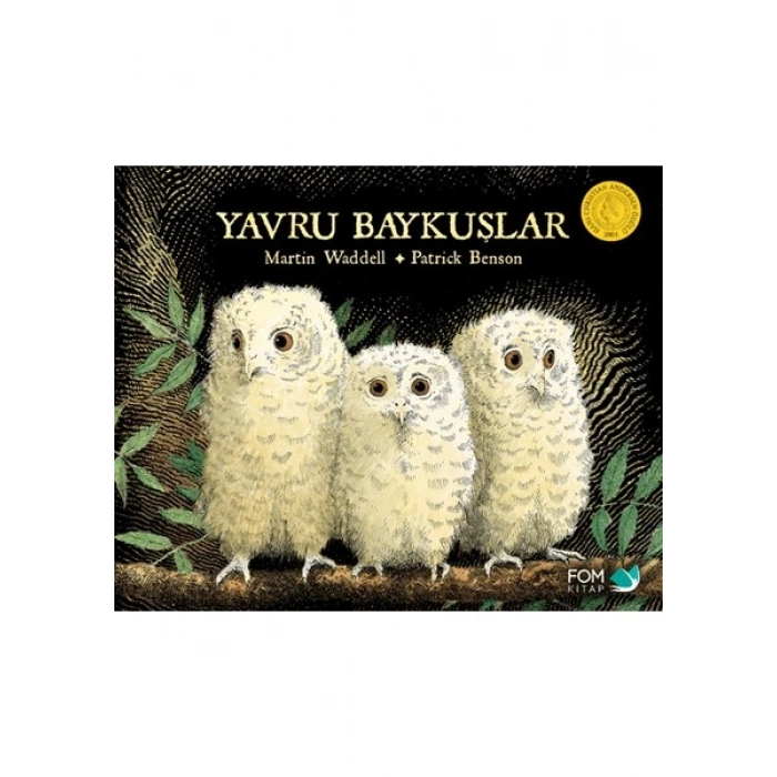 Yavru Baykuşlar - Martin Waddell