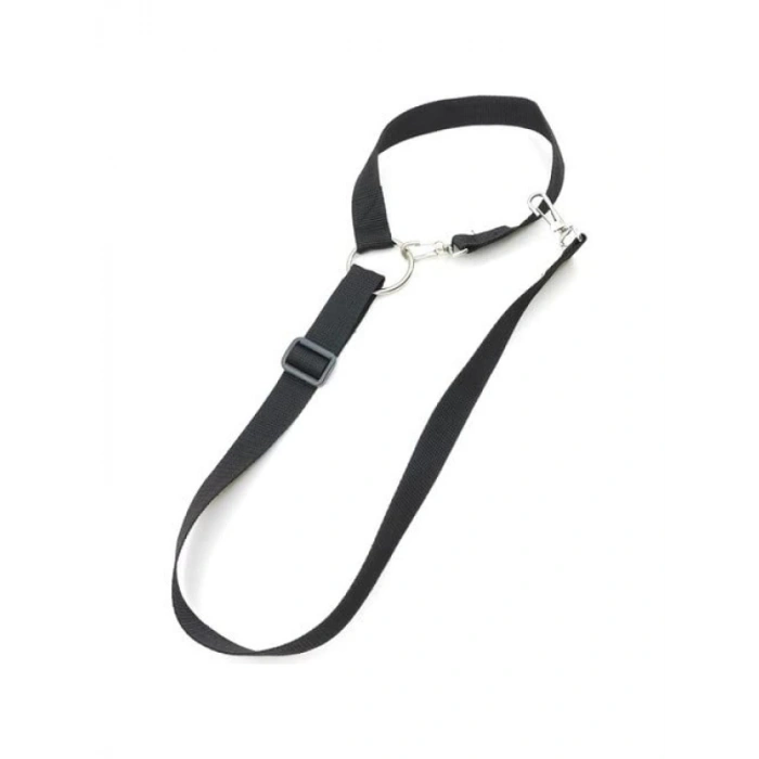 Yavru Evcil Hayvanlar İçin Araç Emniyet Kemeri Tasma