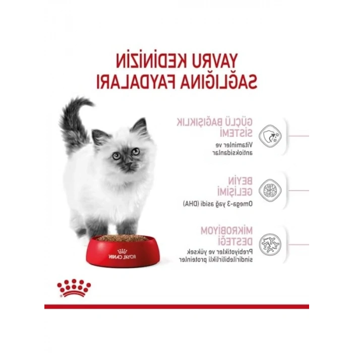 Yavru Kedi Kuru Maması, 400 g (2 Adet)