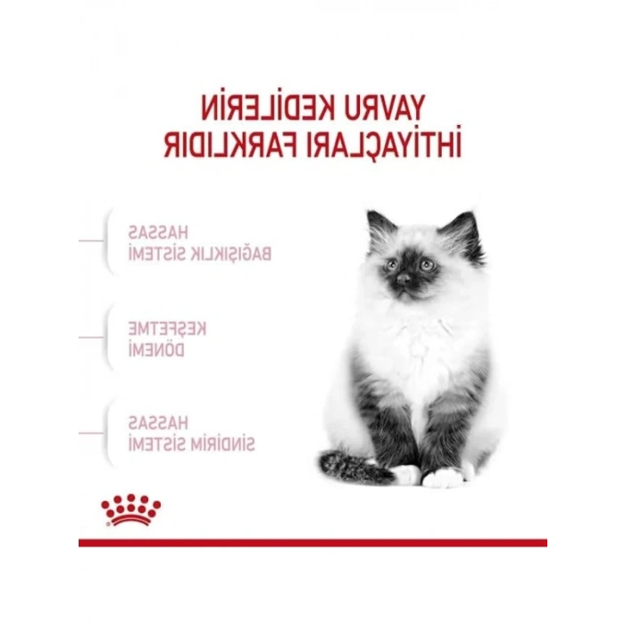 Yavru Kedi Kuru Maması, 400 g (2 Adet)