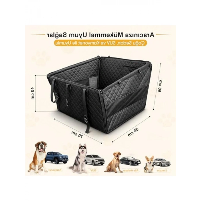 Yavru Kedi Maması 10 kg Tavuklu