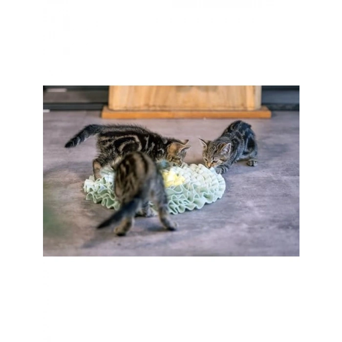 Yavru Kedi Ödül Saklama Oyuncağı, 38x38x3 cm Boyut