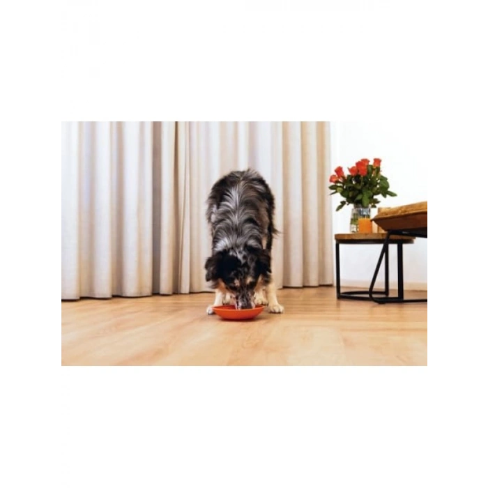 Yavru Köpek Mama Yeme Oyuncağı, Silikon, Kırmızı, 19 cm