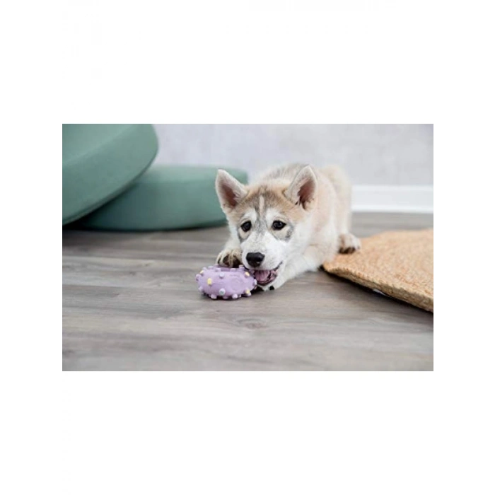 Yavru Köpekler İçin Mini Lateks Dambıl Oyuncak 10 cm (2 Paket)