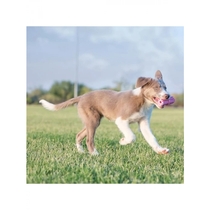 Yavru Köpekler İçin Yumuşak Diş Çıkarma Çubuğu