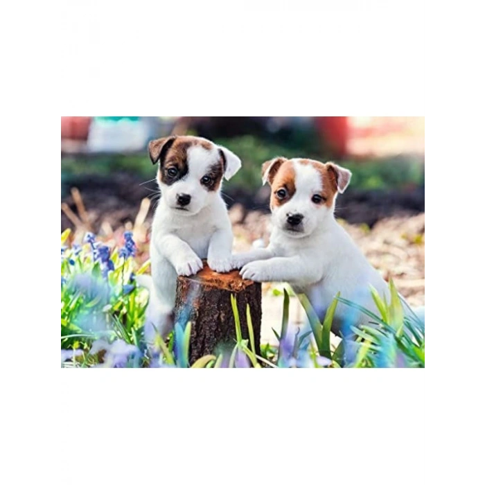 Yavru Köpekler Temalı 2x12 Parça Puzzle, Eğlenceli Çocuk Oyun Seti