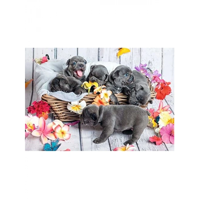 Yavru Köpekler Temalı 2x12 Parça Puzzle, Eğlenceli Çocuk Oyun Seti