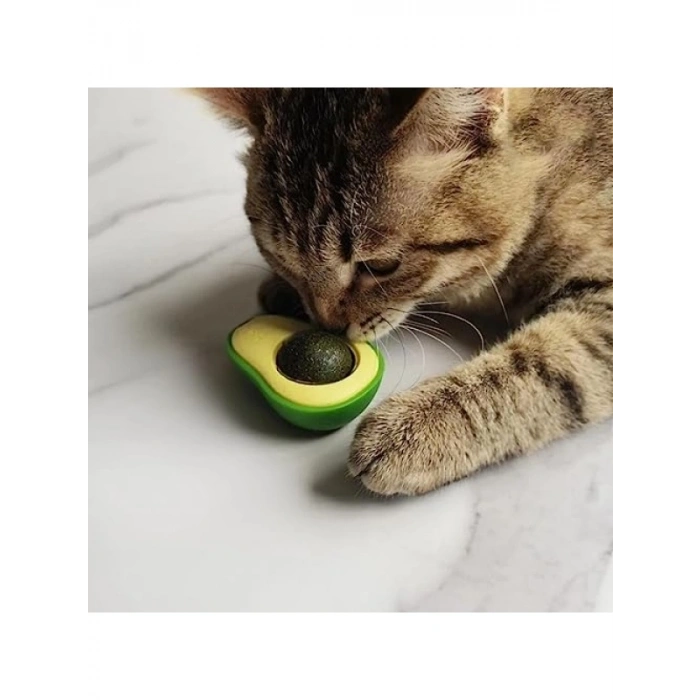 Yenilebilir Avokado Model Yapışkanlı Kedi Oyuncağı
