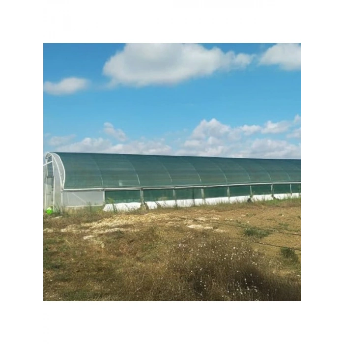 Yeşil Çit Filesi, %75 Görüntü Kesme, 1x7 m Boyut