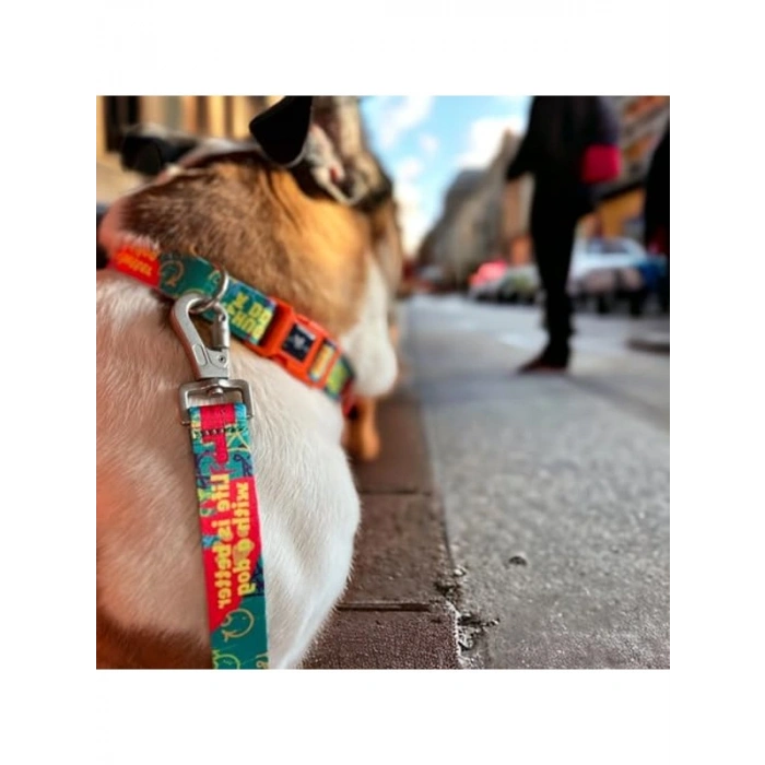 Yeşil Renkli Geri Dönüştürülmüş Köpek Gezdirme Kayışı