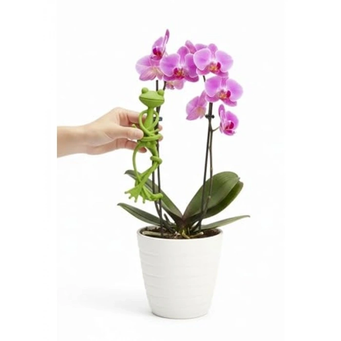Yeşil Renkli Kurbağa Şeklinde Bitki Destek Aparatı, 13cm x 11cm