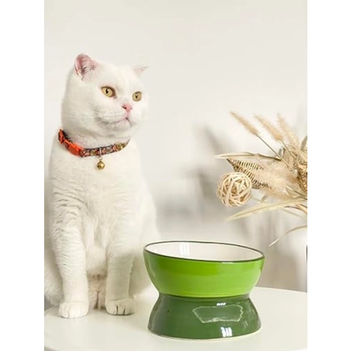 Yeşil Renkli Seramik Mama ve Su Kabı, Kedi ve Köpekler İçin