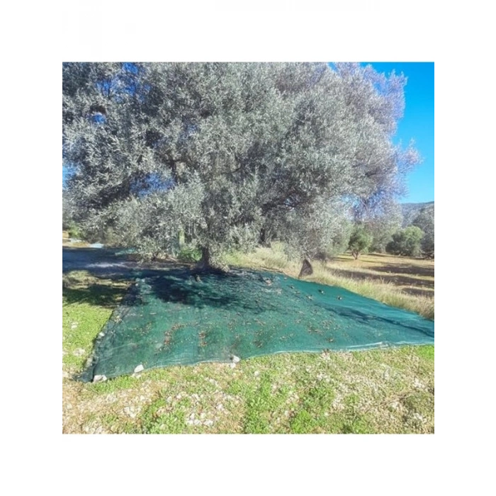 Yeşil Zeytin Toplama Filesi, 3x3 Metre Boyutunda