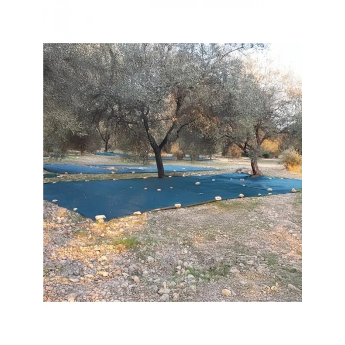 Yeşil Zeytin Toplama Filesi, 3x3 Metre Boyutunda