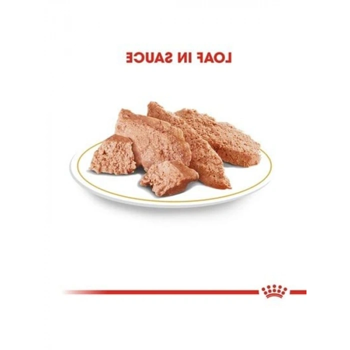 Yetişkin Chihuahua Köpek Konserve, 85 Gr x 12 Adet