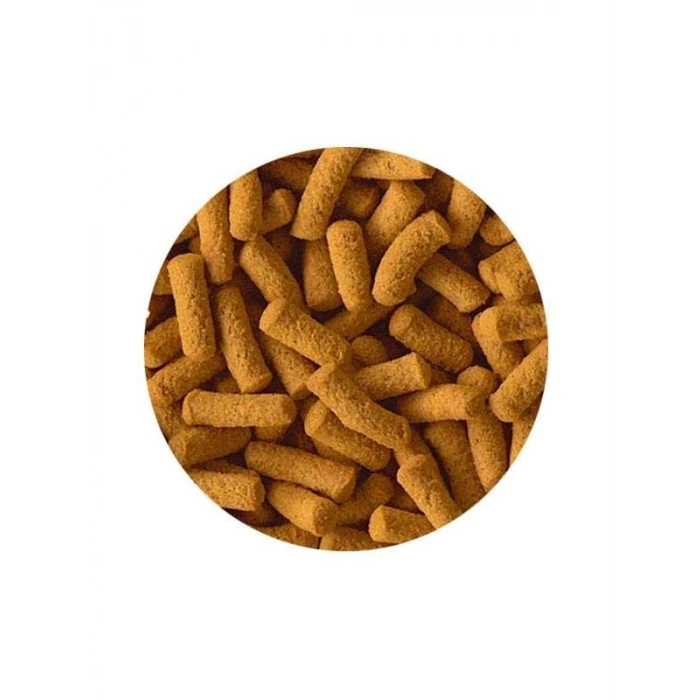 Yetişkin Cichlid Balıkları için Sticks - 250 Gr