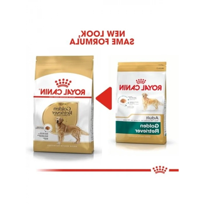 Yetişkin Golden Retriever Köpek Maması - 12 Kg